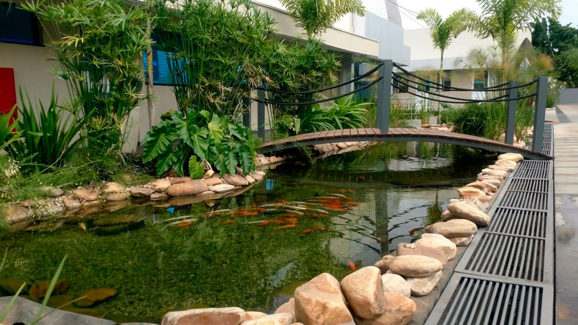 MAR & RIO PESCADOS – foto 6